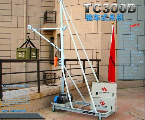 TC300D type trolley type small crane